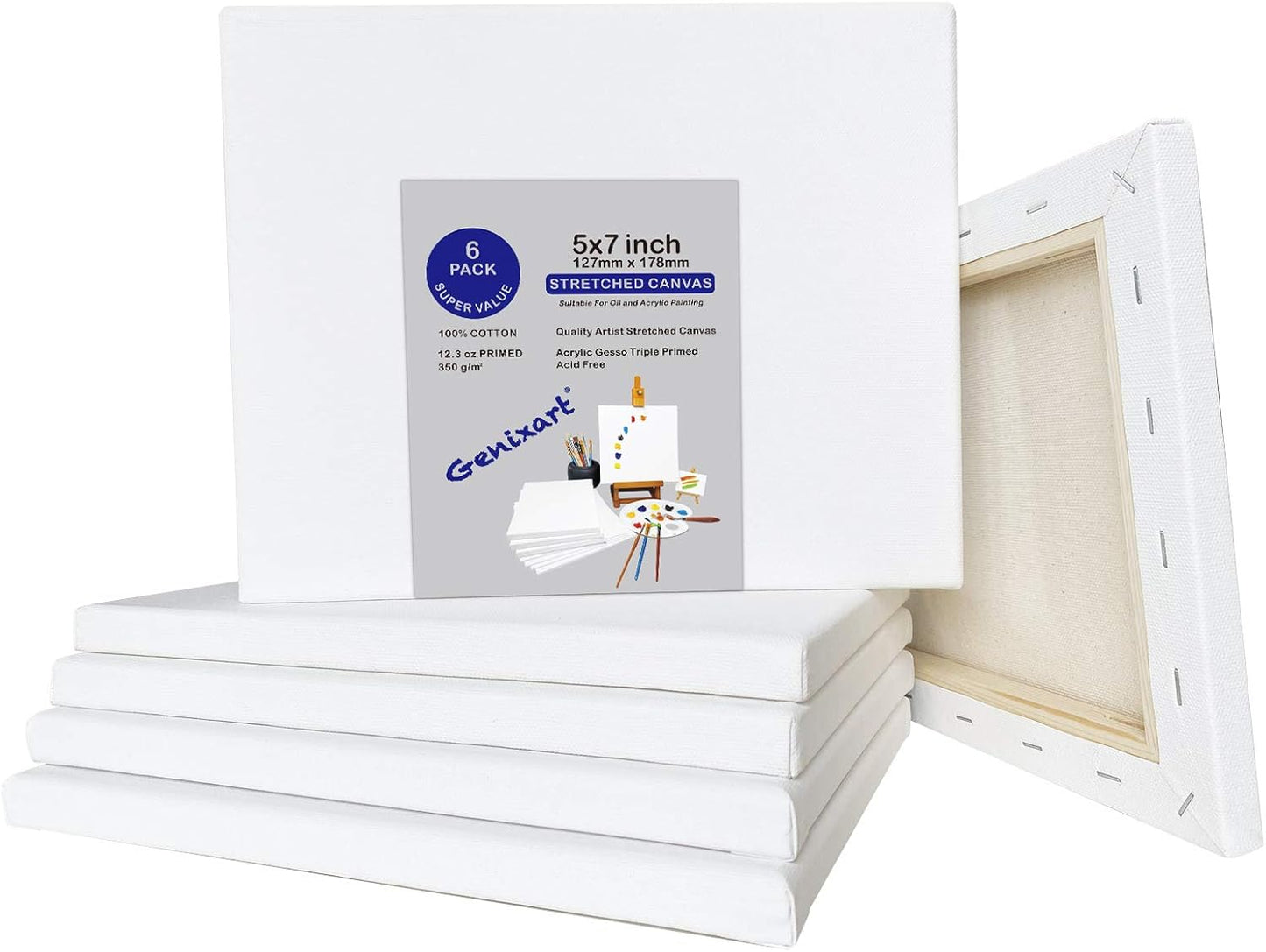 Genixart White Blank Stretched Canvas, Pack of 6, Primed Professional Artist Canvases