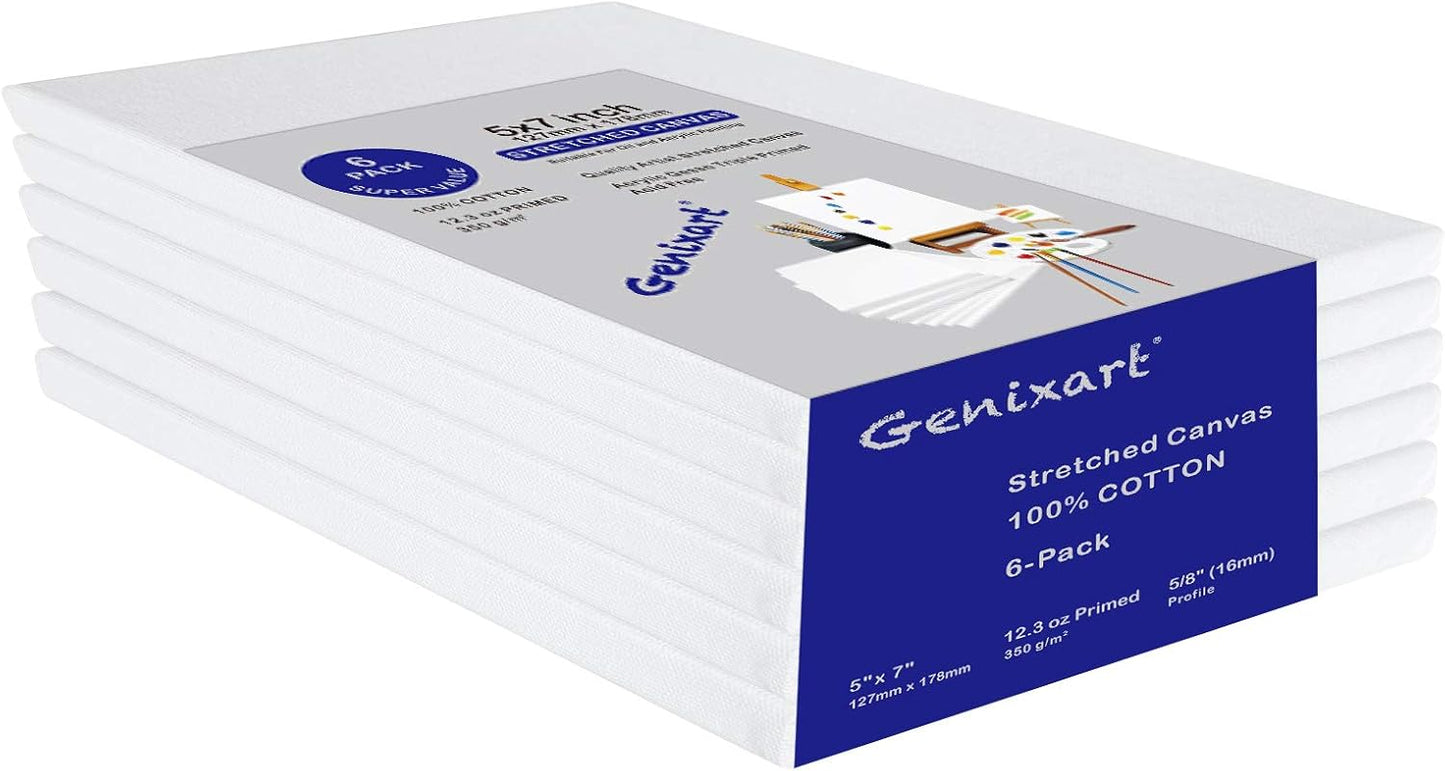 Genixart White Blank Stretched Canvas, Pack of 6, Primed Professional Artist Canvases