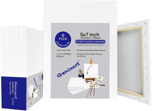 Genixart White Blank Stretched Canvas, Pack of 6, Primed Professional Artist Canvases