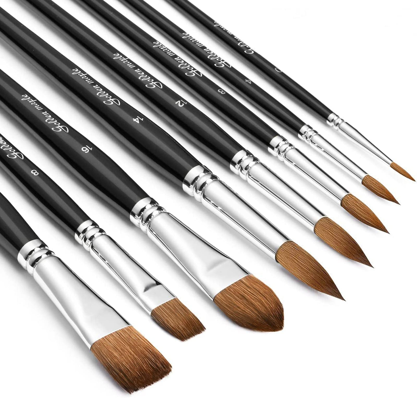 Sable Watercolour Brushes Professional - 8 Pcs Sable Paint Brush Set Variety Shapes